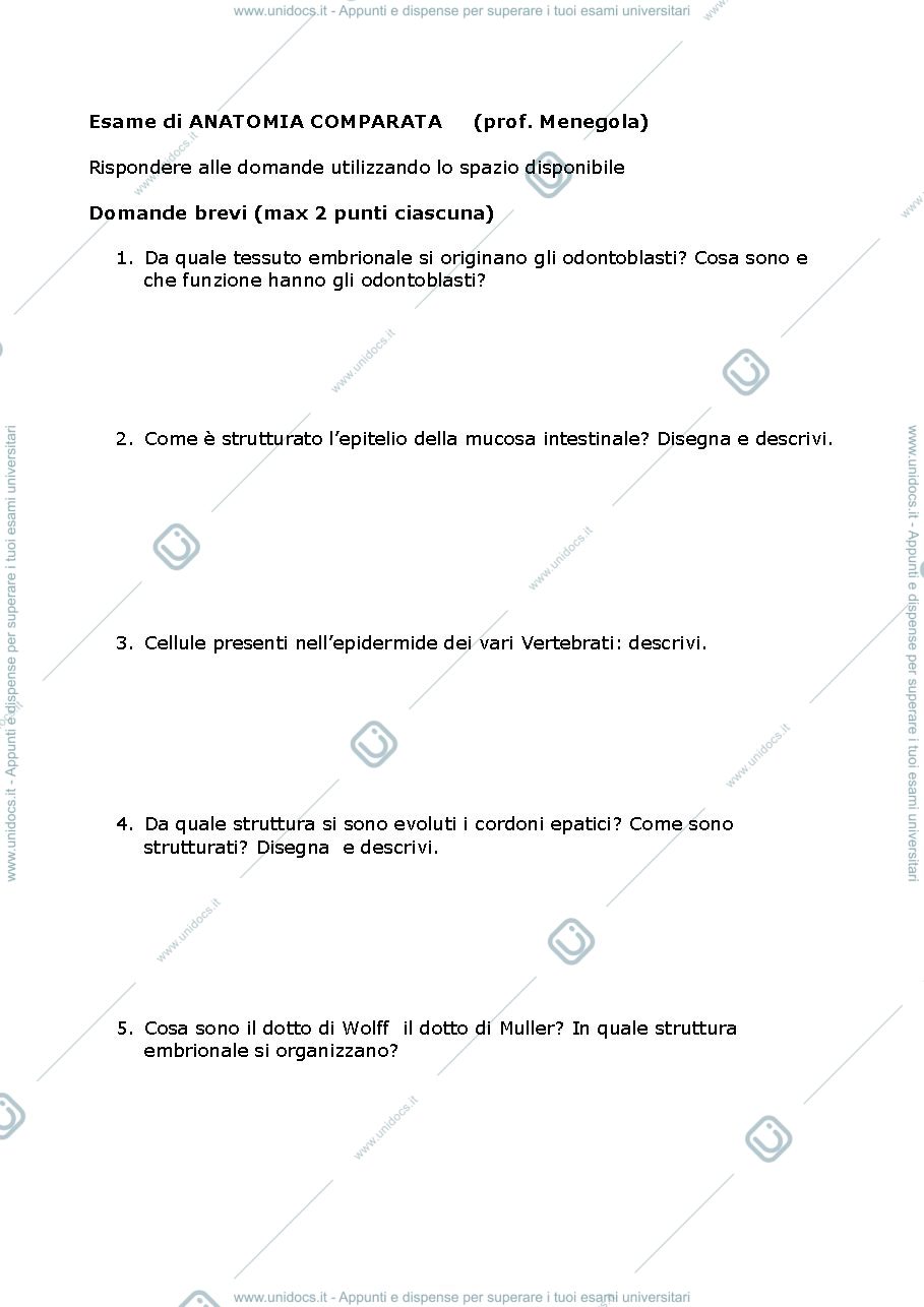 Anteprima pagina 1 — Esempio esame anatomia comparata