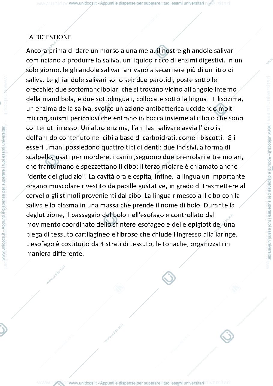 Anteprima pagina 1 — LA DIGESTIONE UMANA