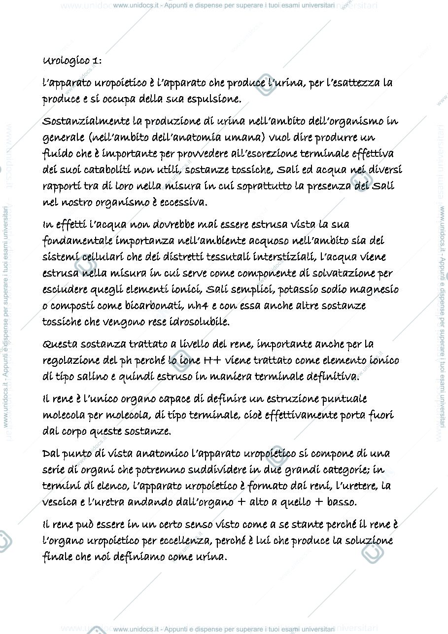 Anteprima pagina 1 — uropoietico 1