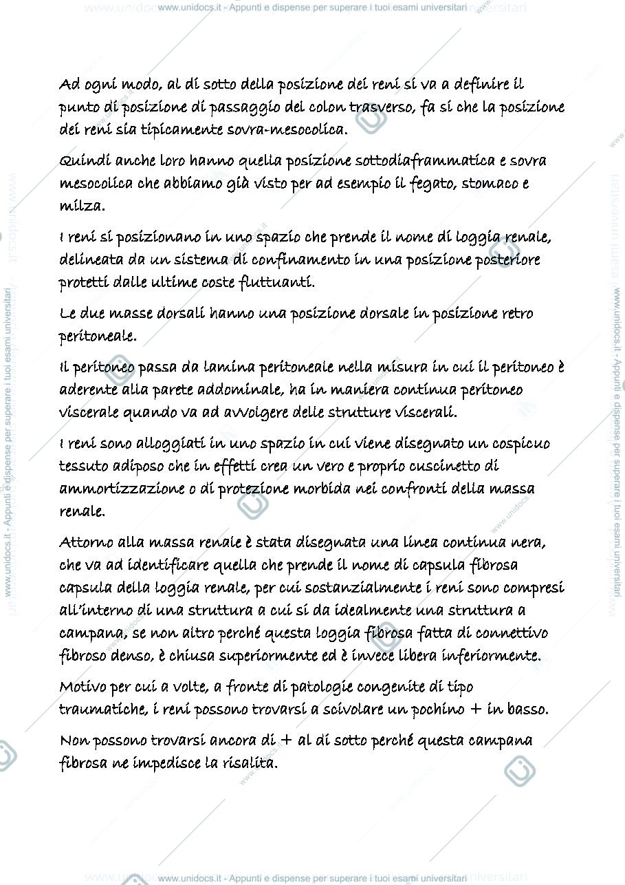 Anteprima pagina 3 — uropoietico 1