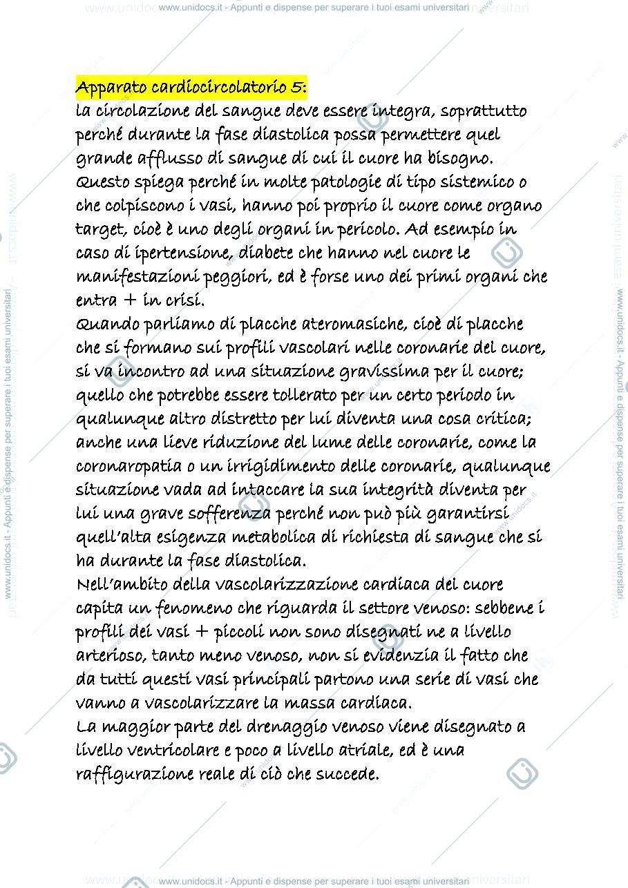 Anteprima pagina 1 — cardiocircolatorio 5