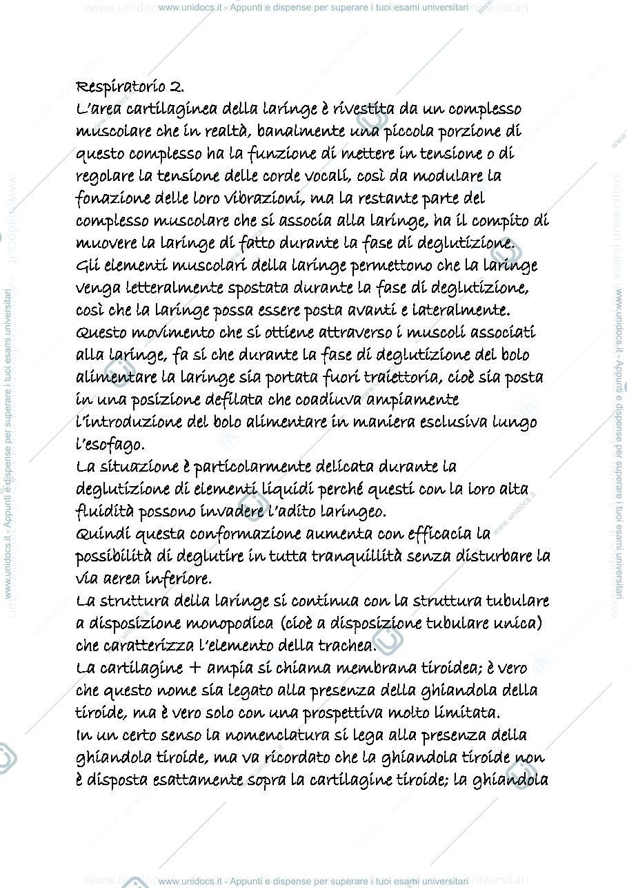 Anteprima pagina 1 — RESPIRATORIO 