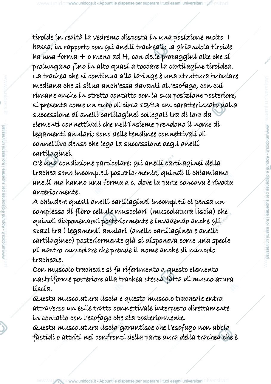 Anteprima pagina 2 — RESPIRATORIO 
