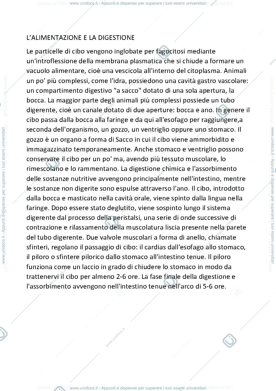 Anteprima pagina 1 — LALIMENTAZIONE E LA DIGESTIONE 
