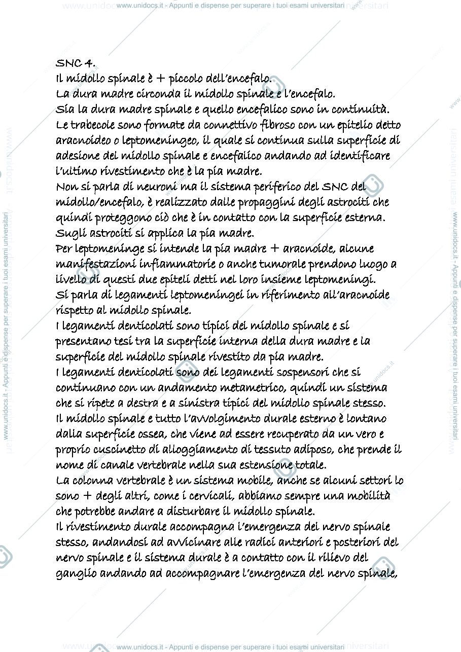 Anteprima pagina 1 — snc 4