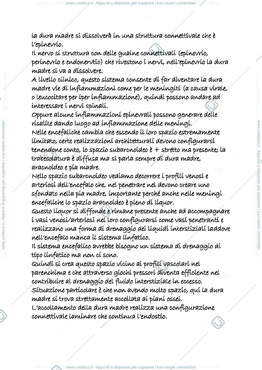 Anteprima pagina 2 — snc 4