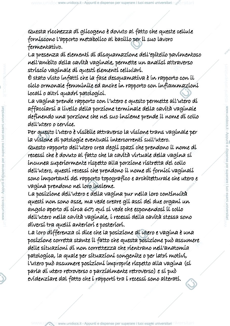 Anteprima pagina 2 — genitale femminile 1