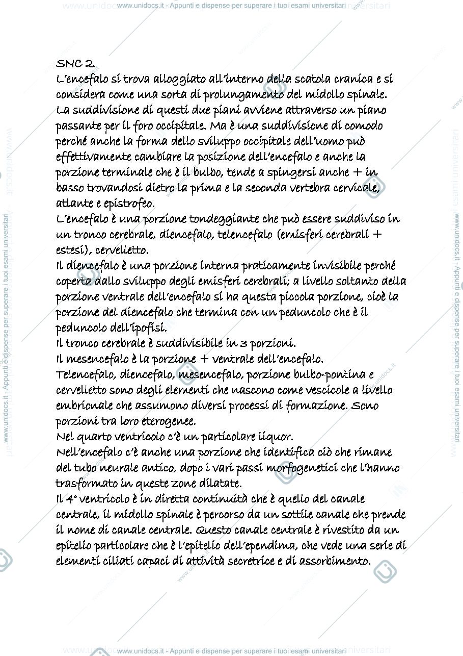 Anteprima pagina 1 — snc 2
