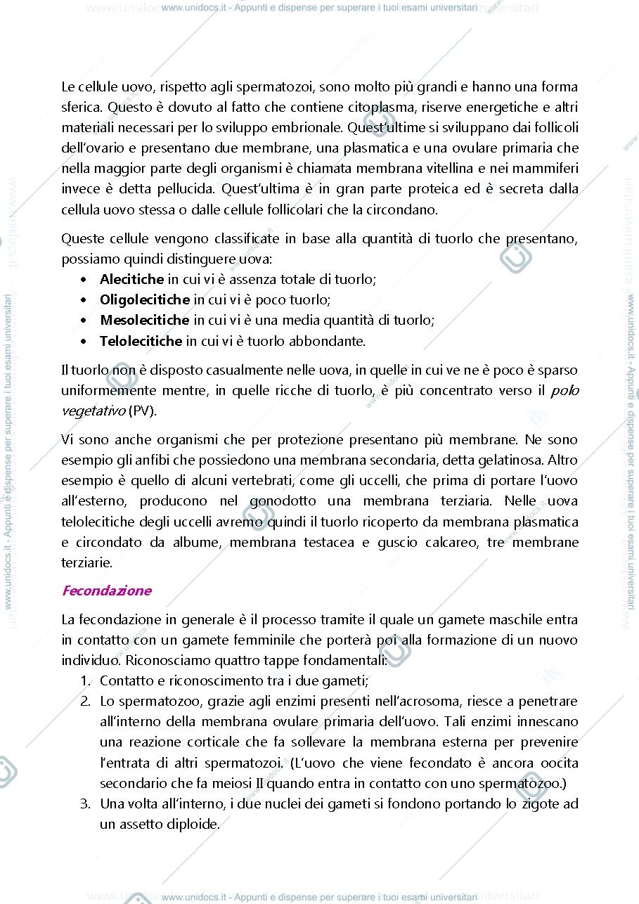Anteprima pagina 2 — Gameti, fecondazione e segmentazione