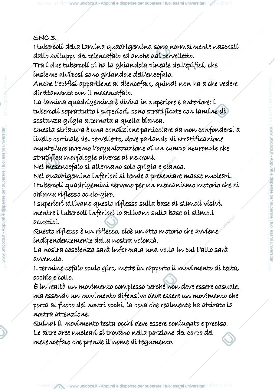 Anteprima pagina 1 — snc 3