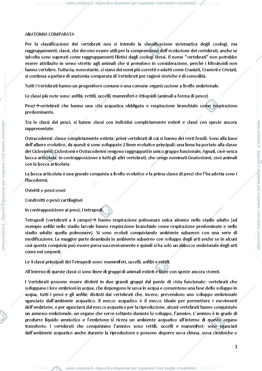 Anteprima pagina 1 — Anatomia Comparata