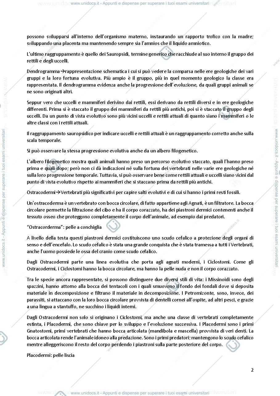 Anteprima pagina 2 — Anatomia Comparata