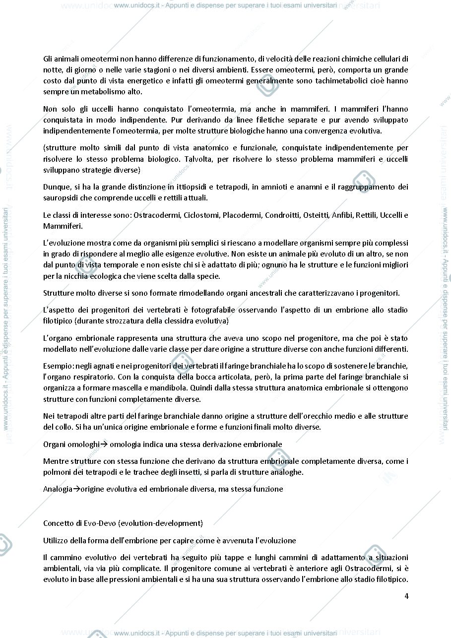 Anteprima pagina 4 — Anatomia Comparata