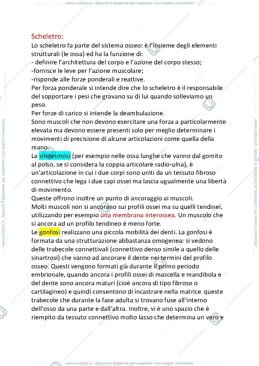Anteprima pagina 1 — ossa testa