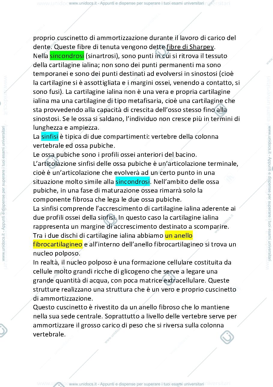 Anteprima pagina 2 — ossa testa