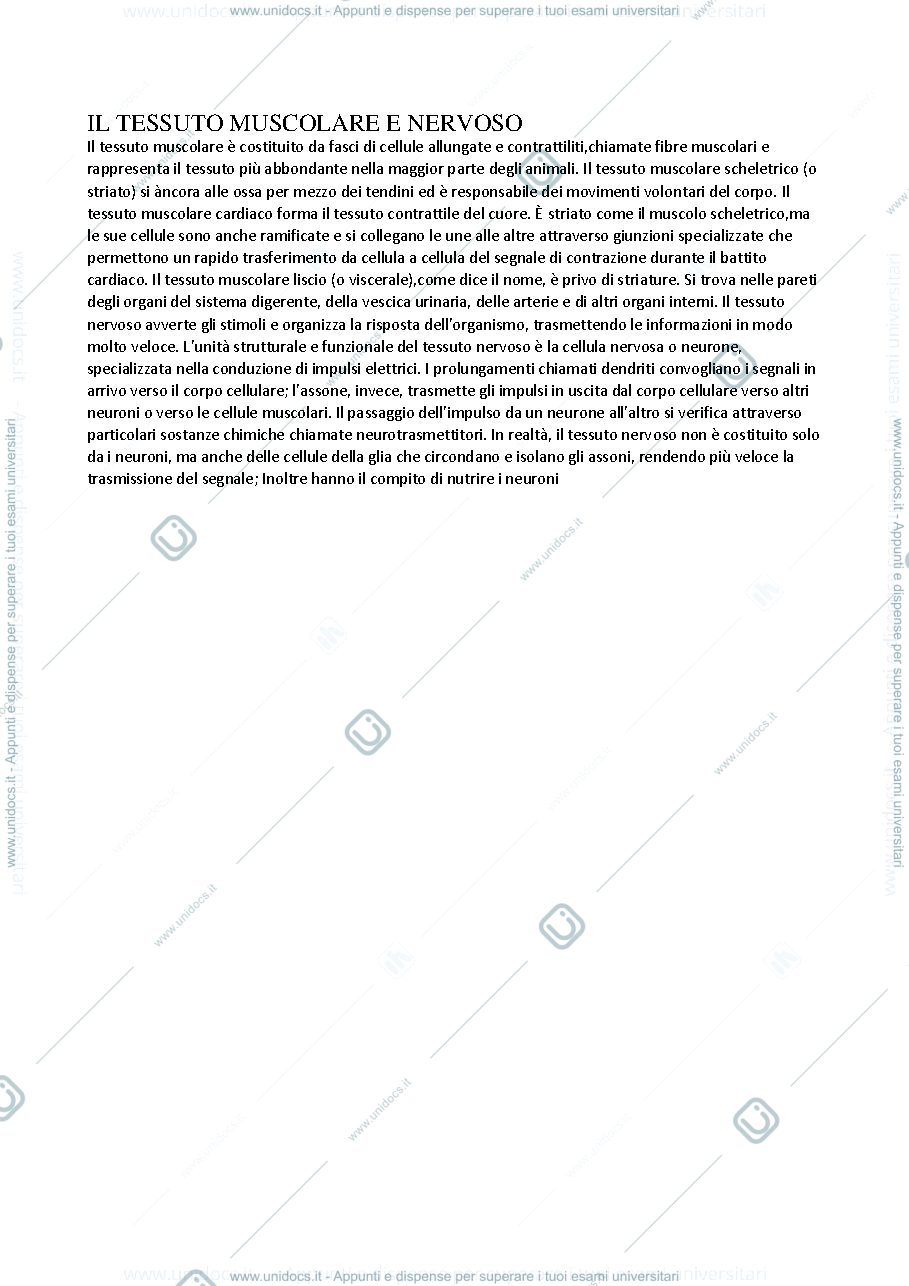 Anteprima pagina 1 — Il sistema muscolare e nervoso 