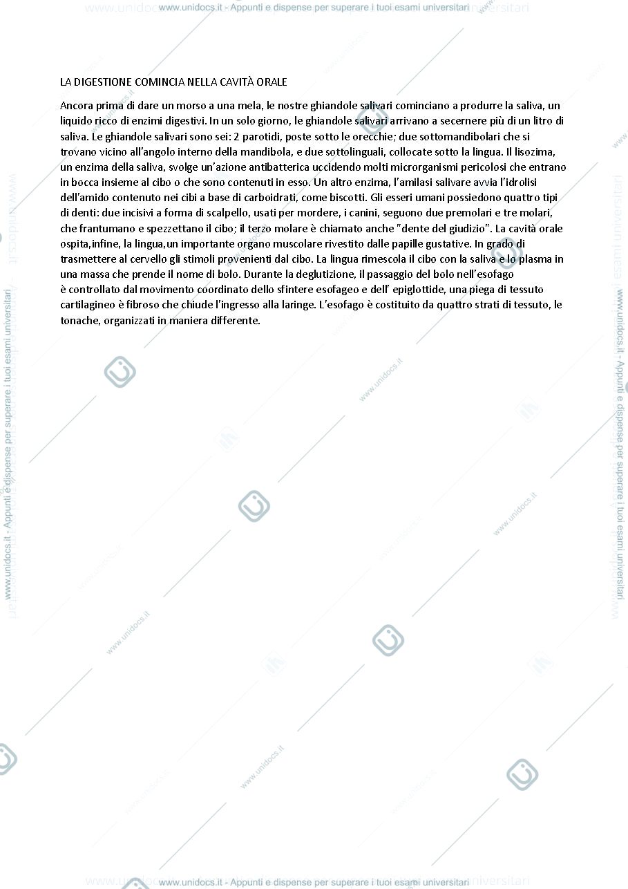 Anteprima pagina 1 — L'INIZIO DELLA DIGESTIONE UMANA 