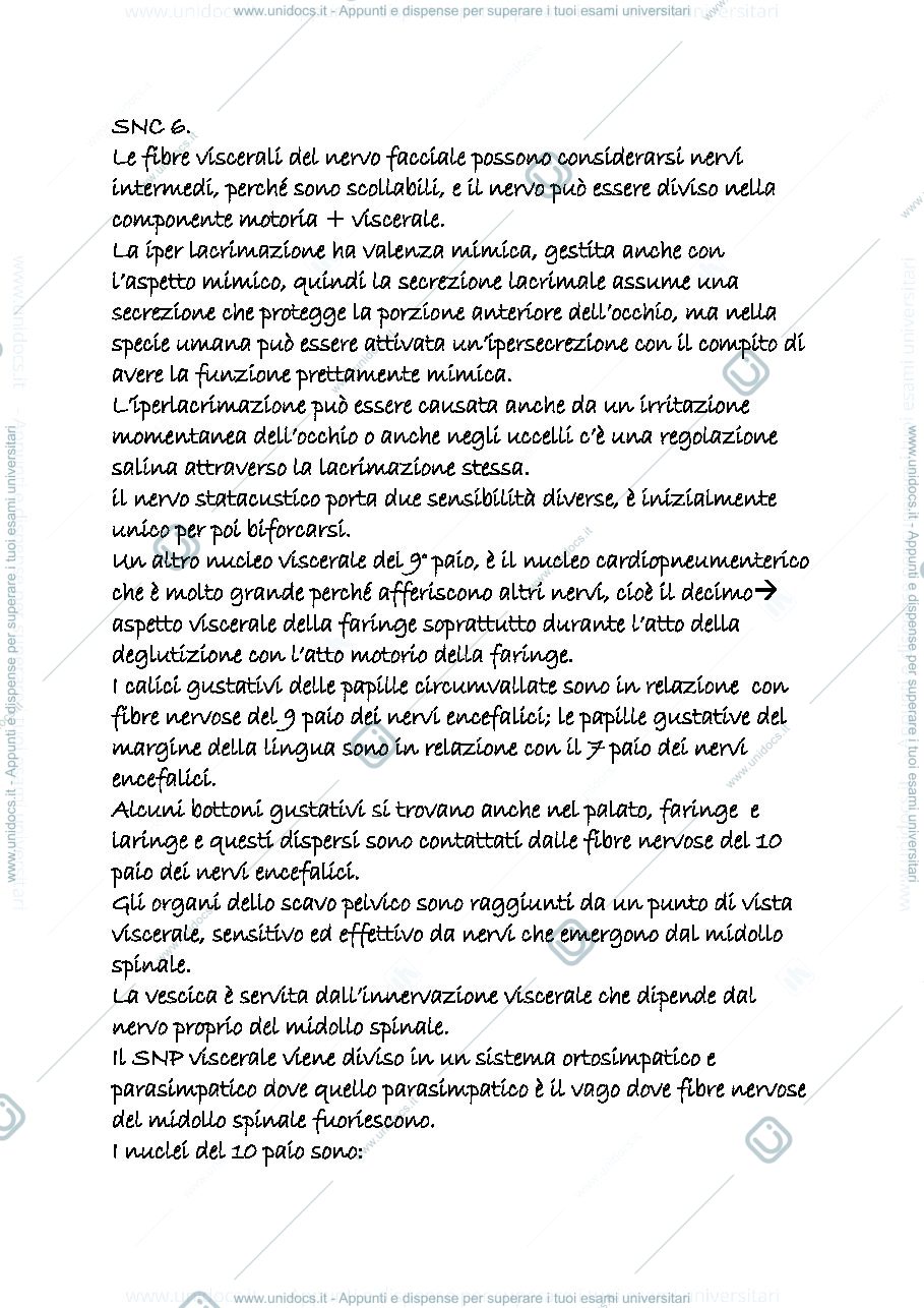 Anteprima pagina 1 — snc 6