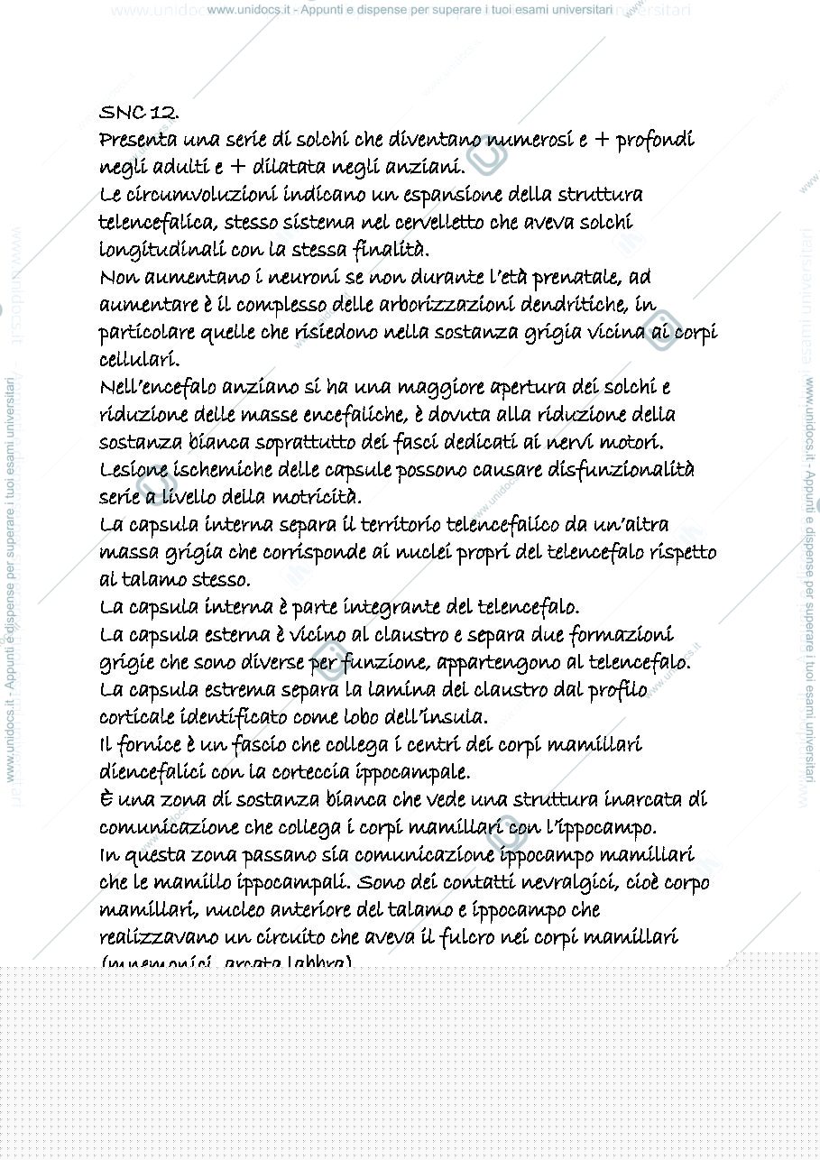 Anteprima pagina 1 — snc 12