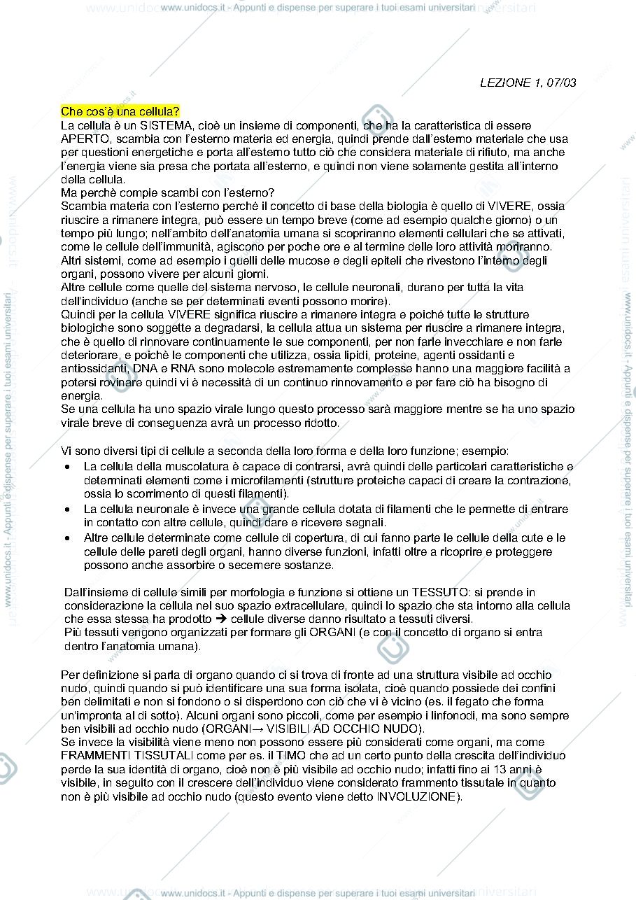 Anteprima pagina 1 — introduzione all'anatomia 