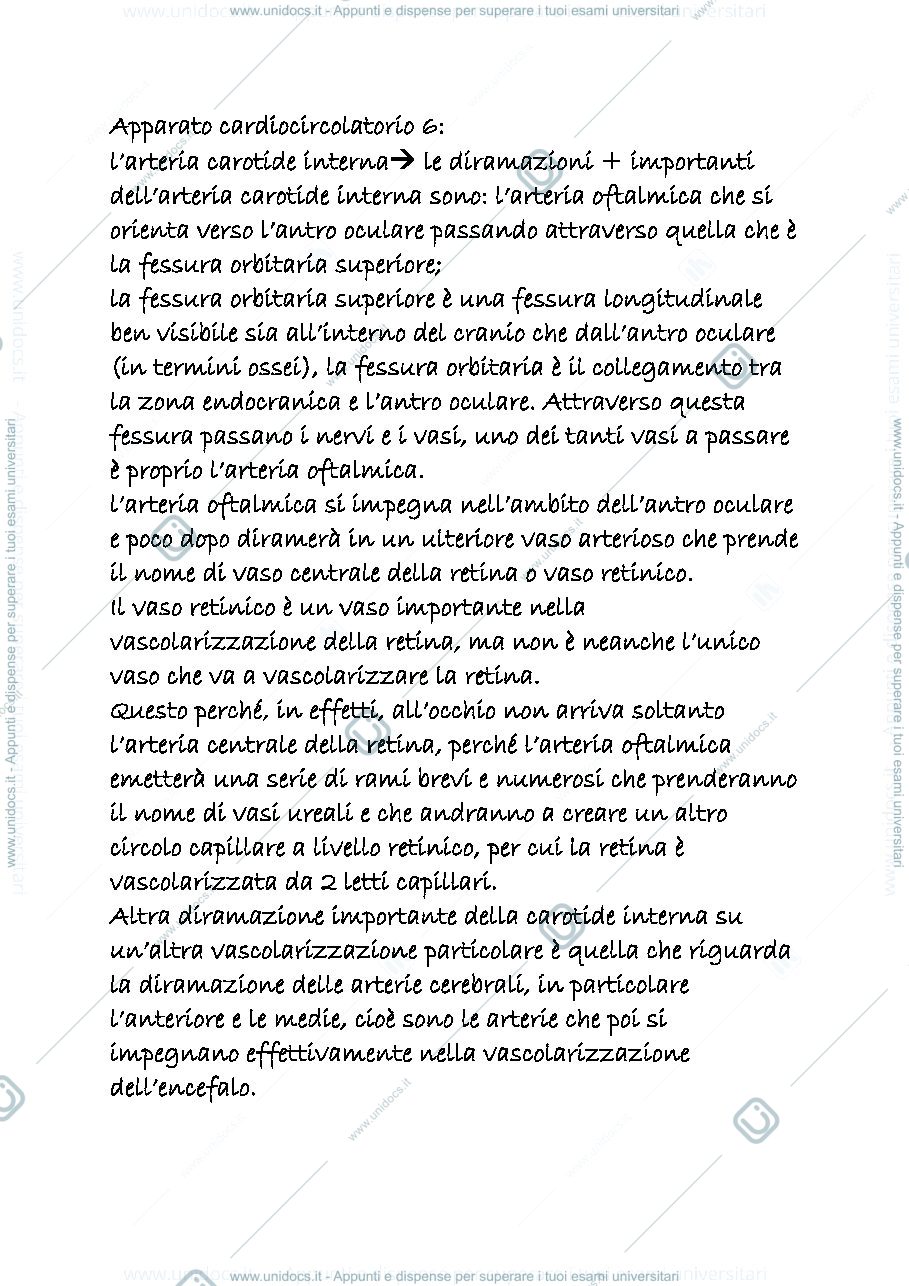 Anteprima pagina 1 — CARDIOCIRCOLATORIO 