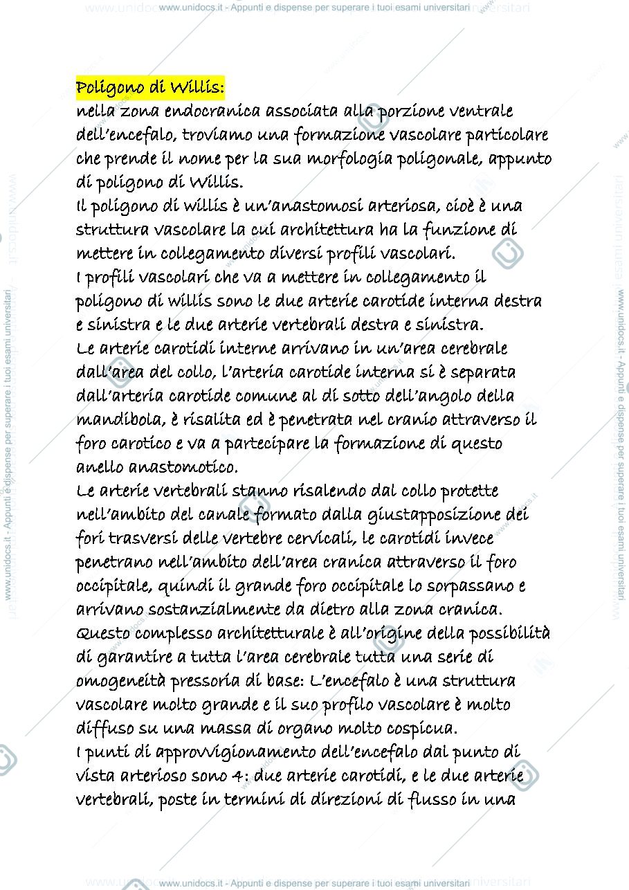 Anteprima pagina 2 — CARDIOCIRCOLATORIO 