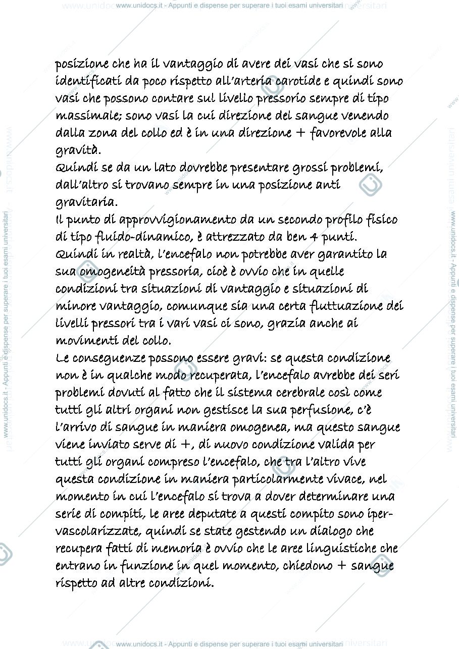 Anteprima pagina 3 — CARDIOCIRCOLATORIO 