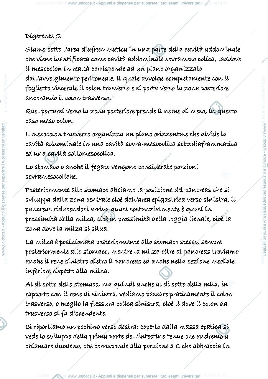 Anteprima pagina 1 — digerente 5