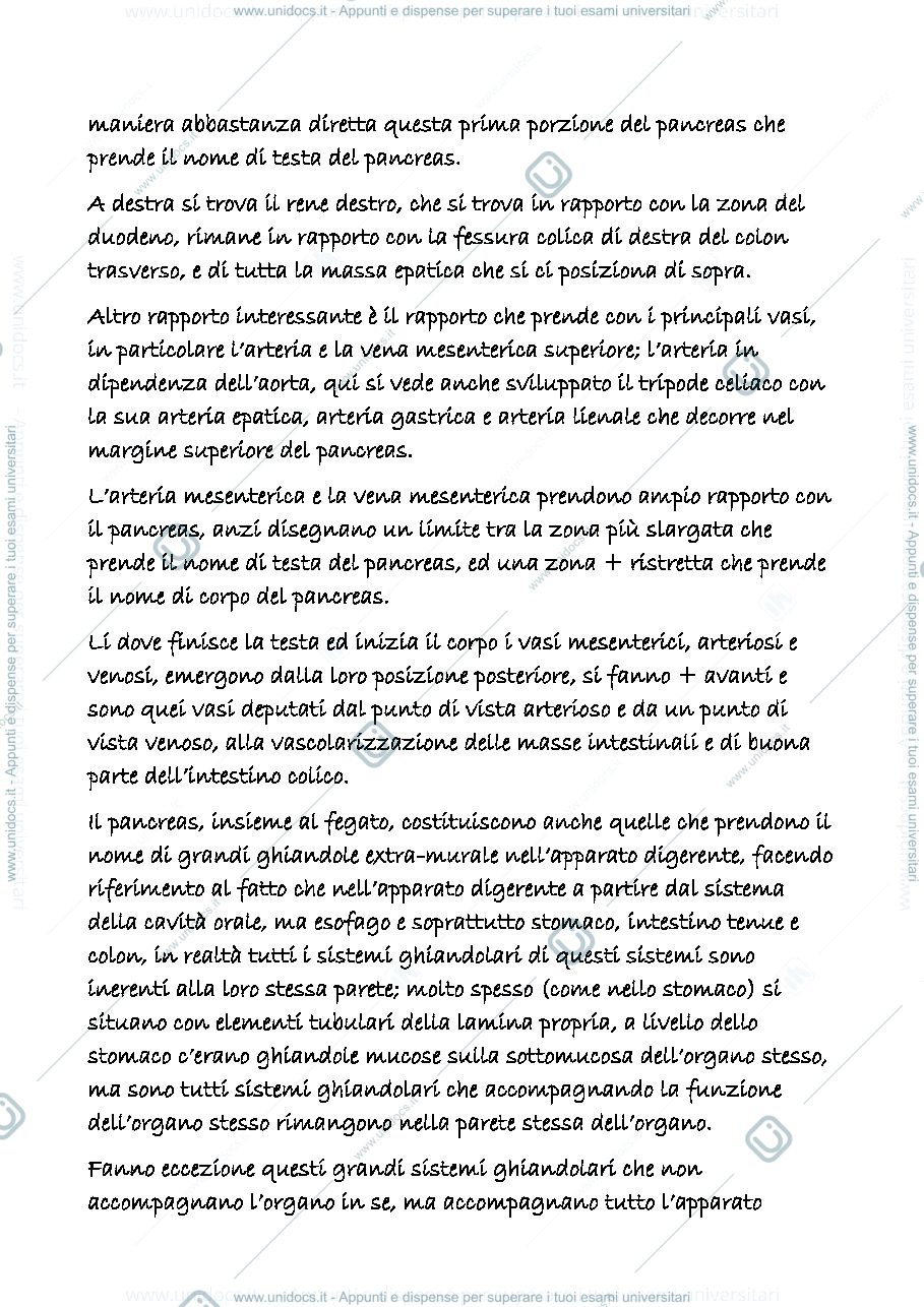 Anteprima pagina 2 — digerente 5