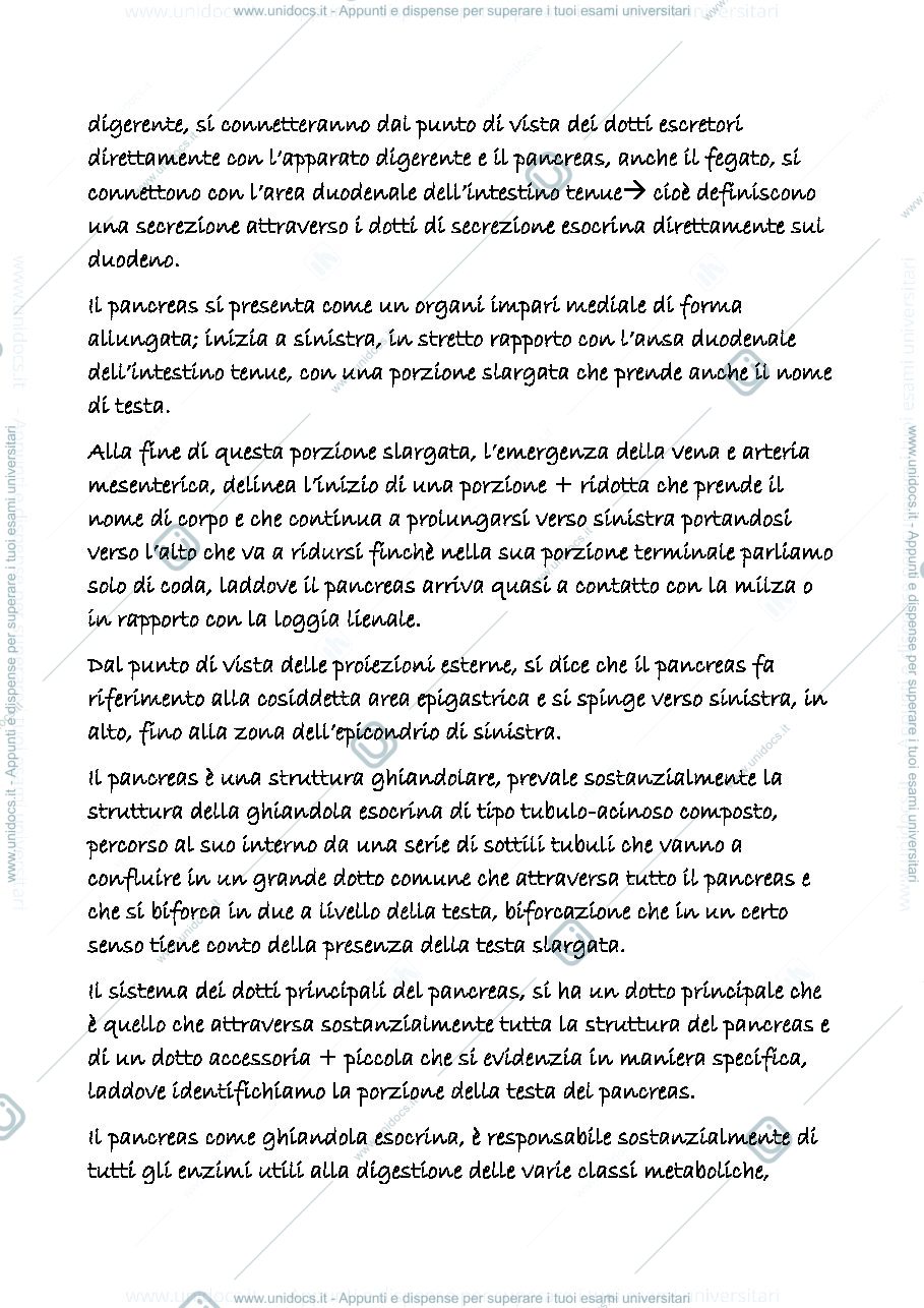 Anteprima pagina 3 — digerente 5