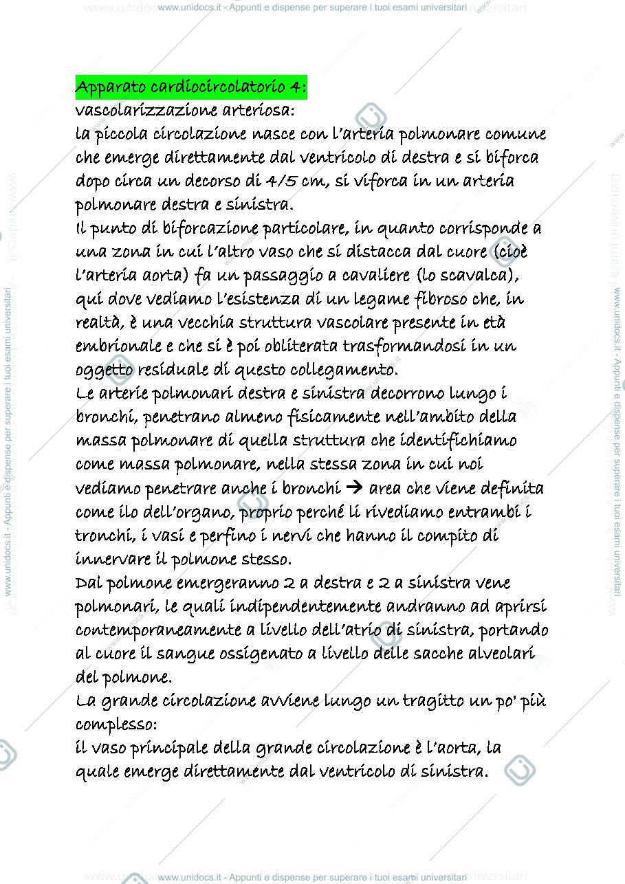 Anteprima pagina 1 — cardiocircolatorio 4