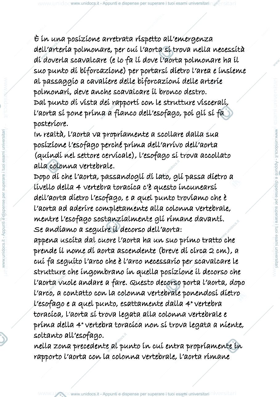 Anteprima pagina 2 — cardiocircolatorio 4