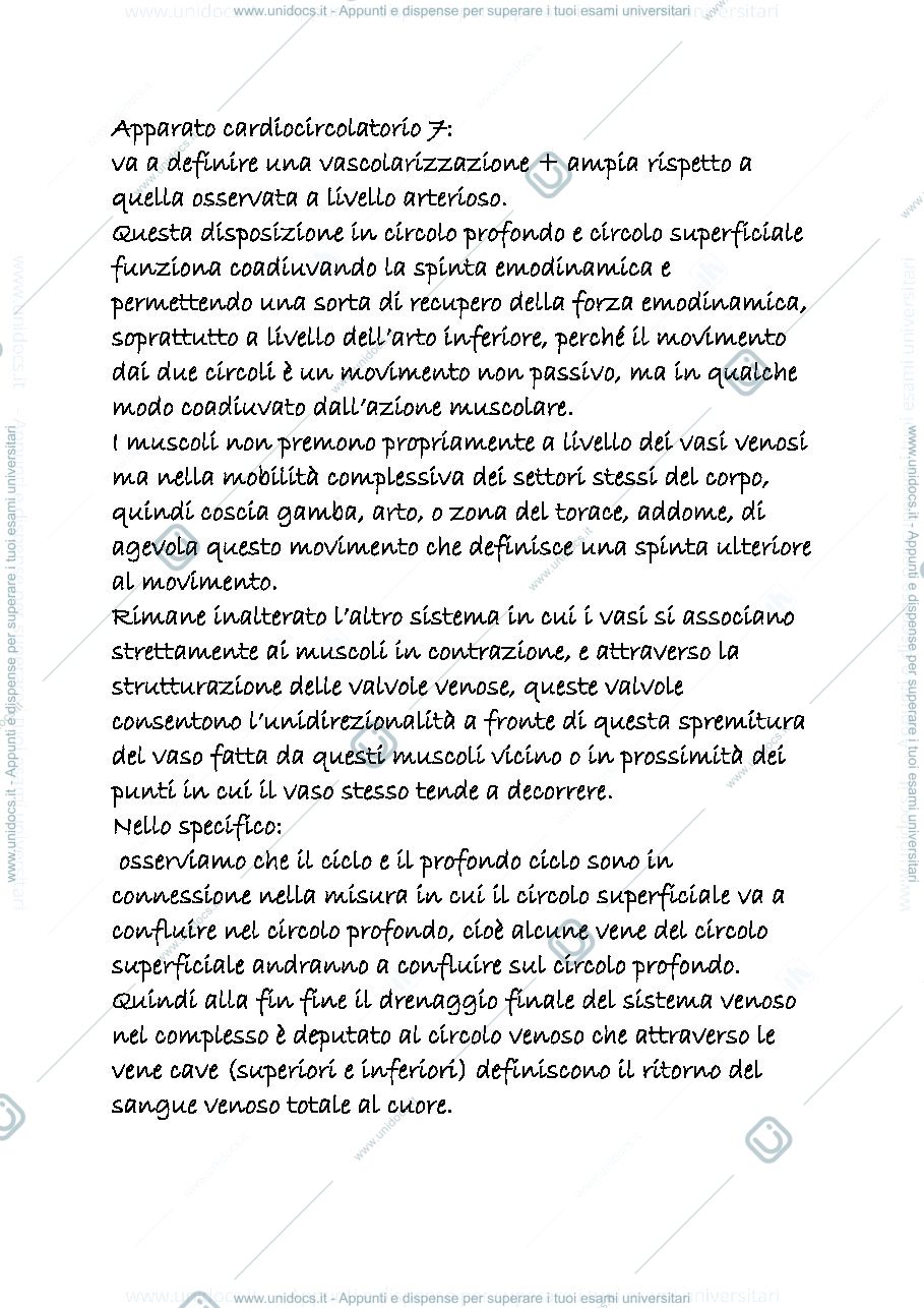 Anteprima pagina 1 — anatomia