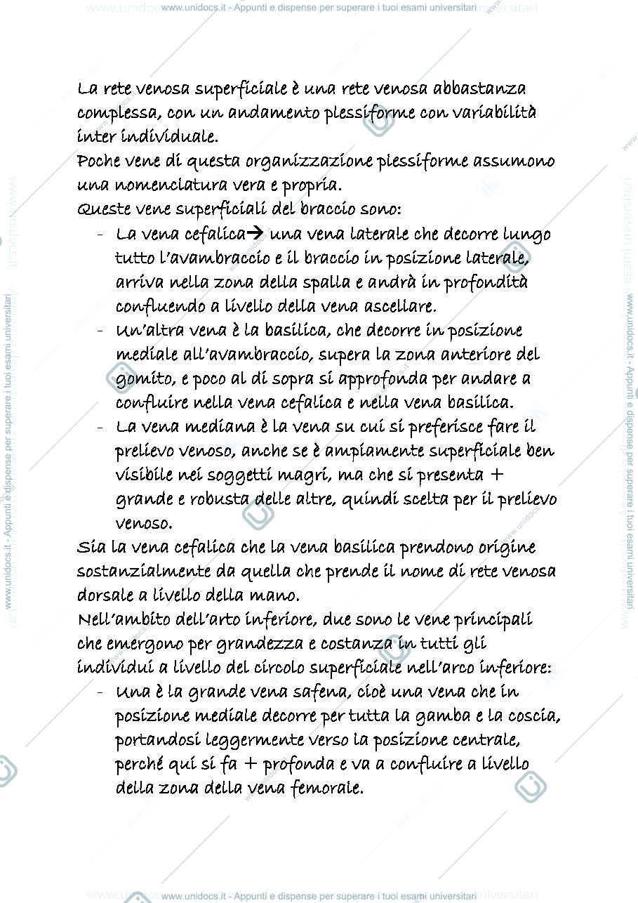 Anteprima pagina 2 — anatomia