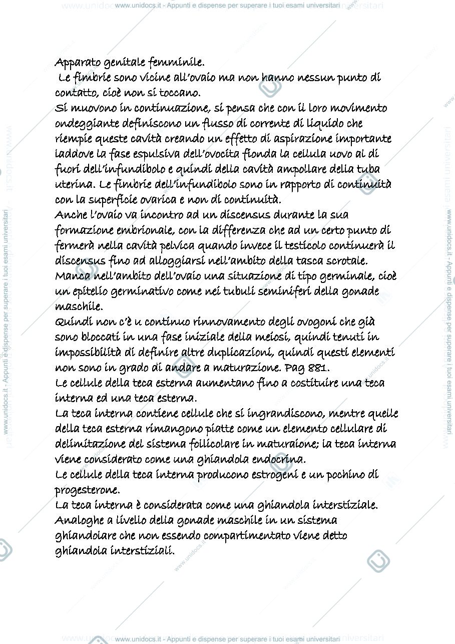 Anteprima pagina 1 — genitale femminile