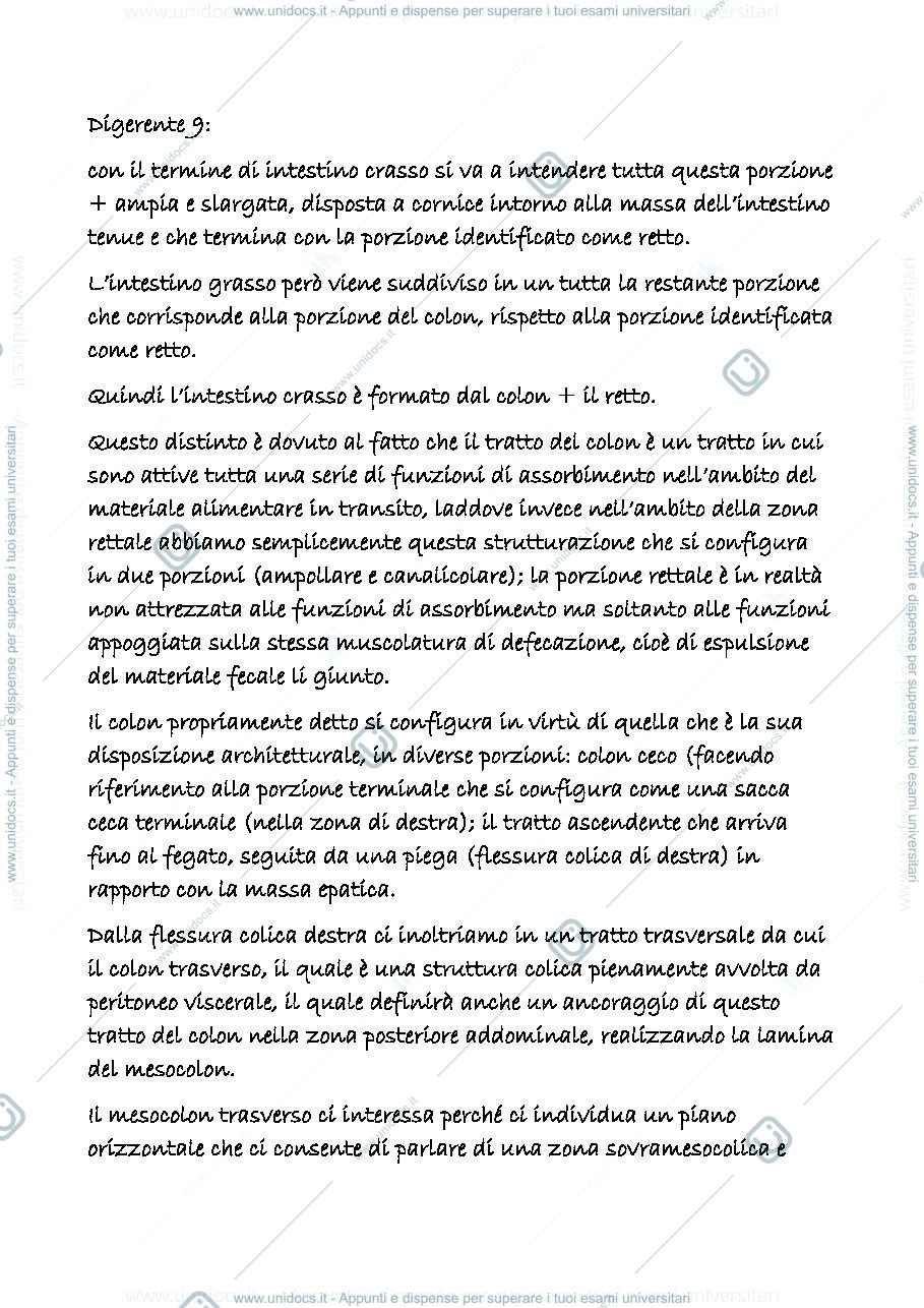 Anteprima pagina 1 — digerente 9