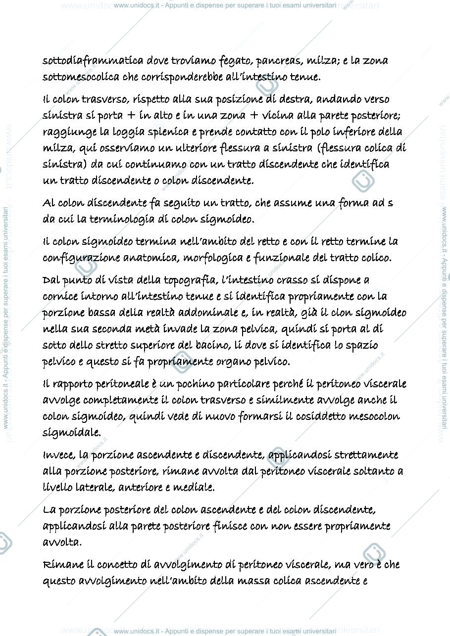 Anteprima pagina 2 — digerente 9