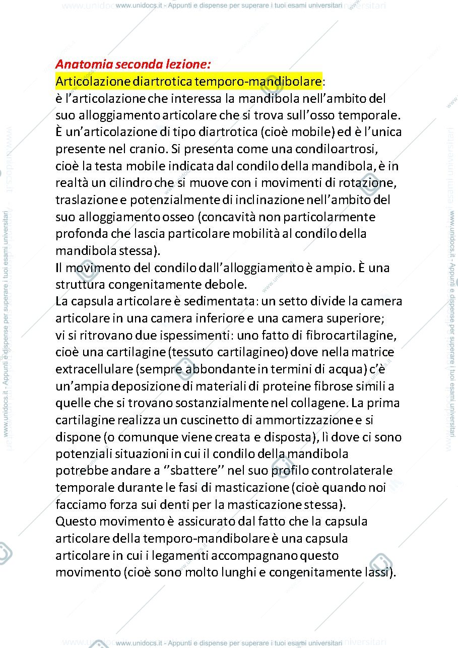 Anteprima pagina 1 — colonna vertebrale