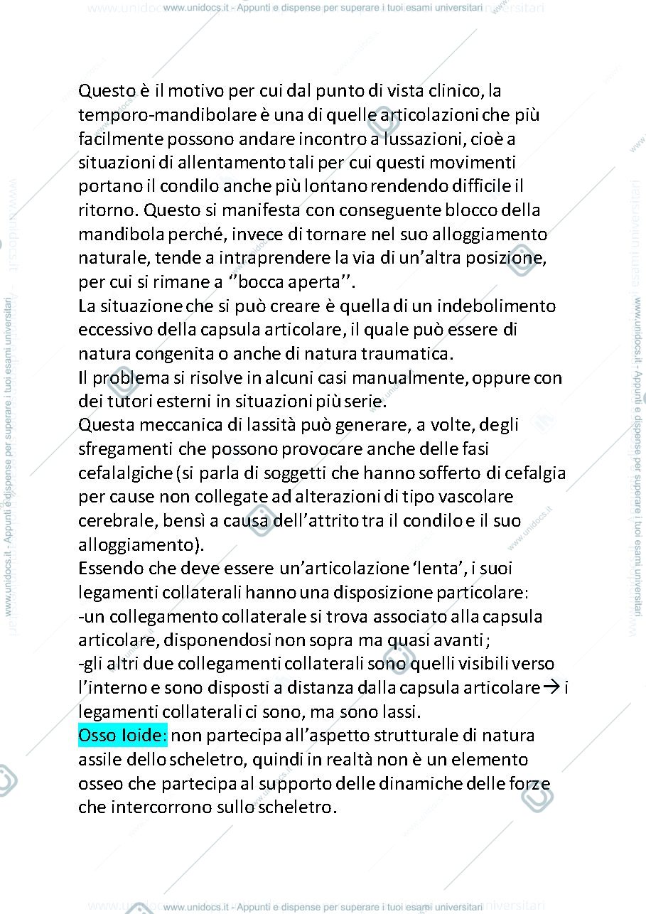 Anteprima pagina 2 — colonna vertebrale