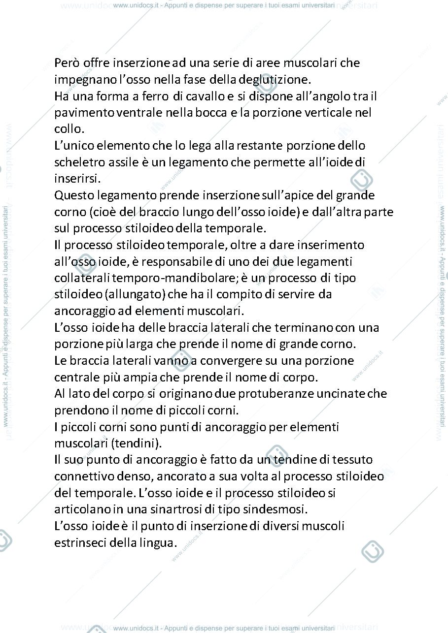 Anteprima pagina 3 — colonna vertebrale