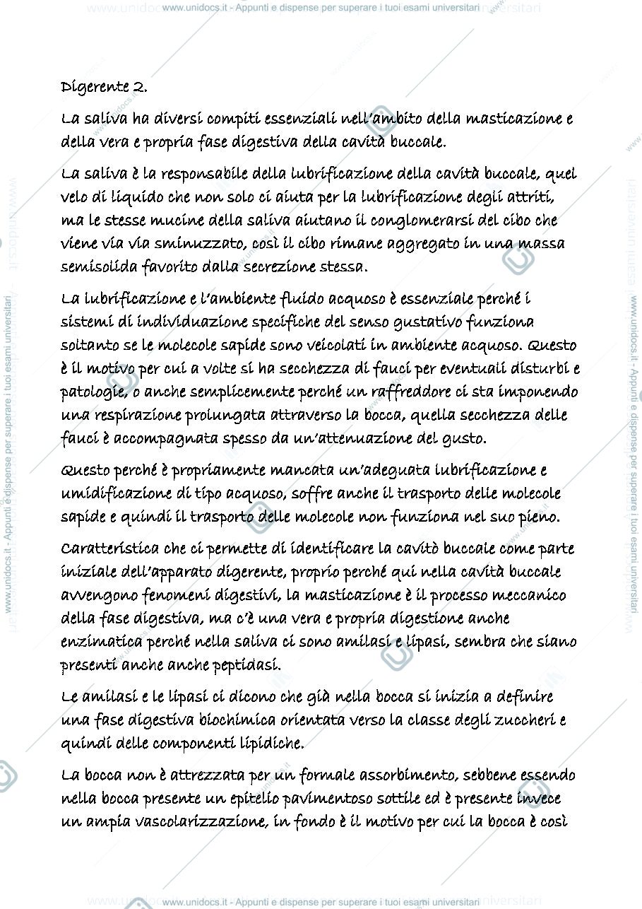 Anteprima pagina 1 — digerente 2