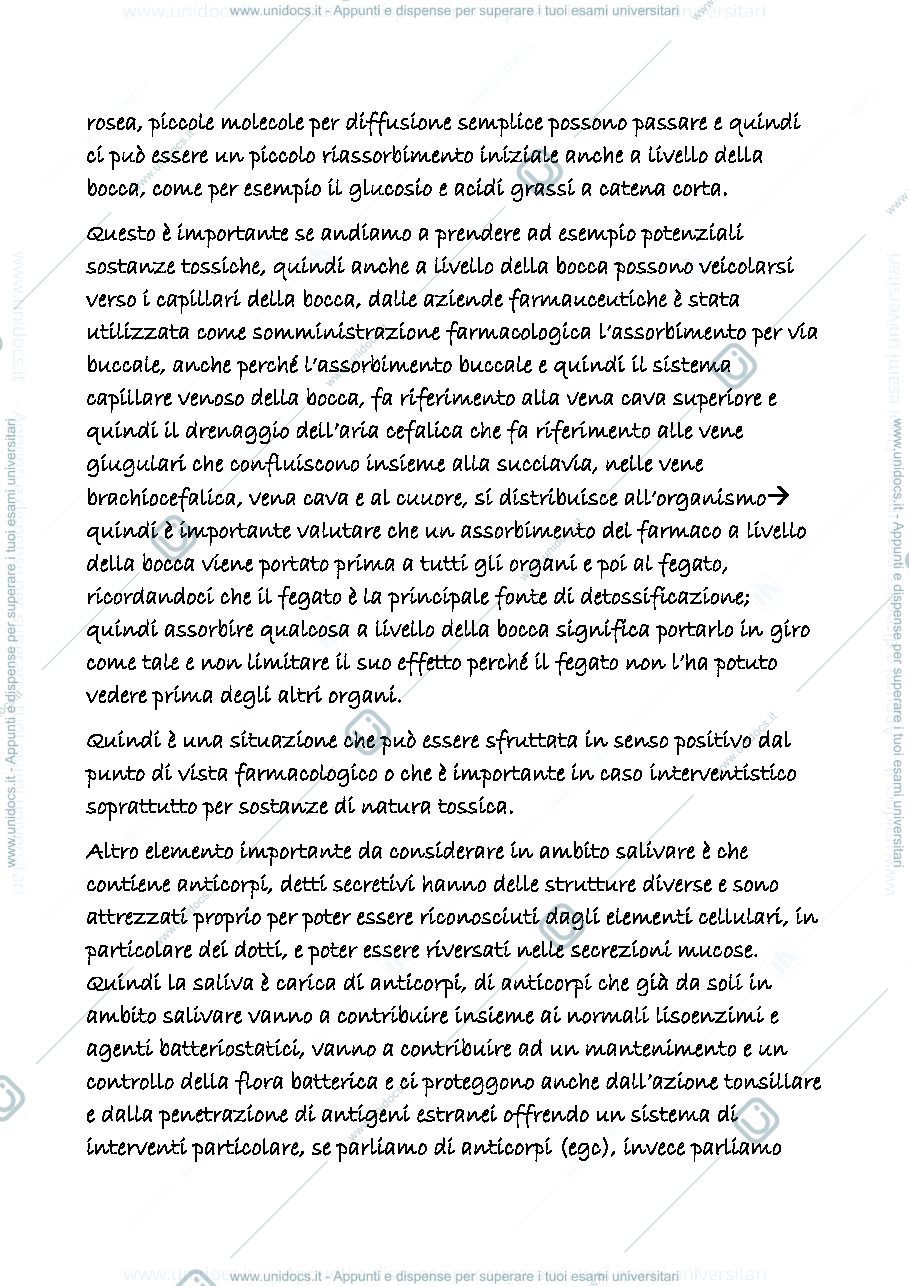 Anteprima pagina 2 — digerente 2