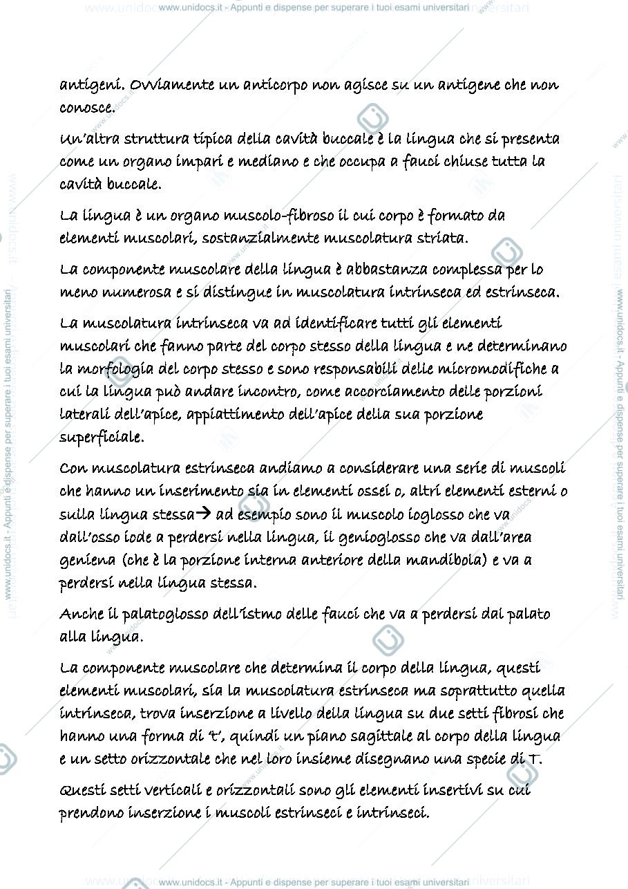 Anteprima pagina 3 — digerente 2