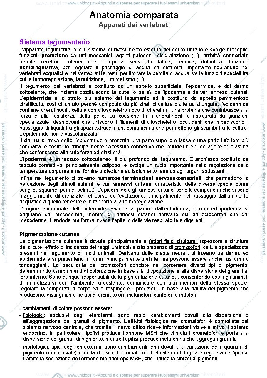 Anteprima pagina 1 — Anatomia comparata
