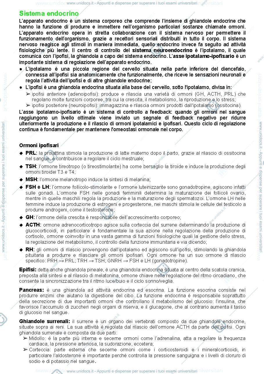 Anteprima pagina 2 — Anatomia comparata