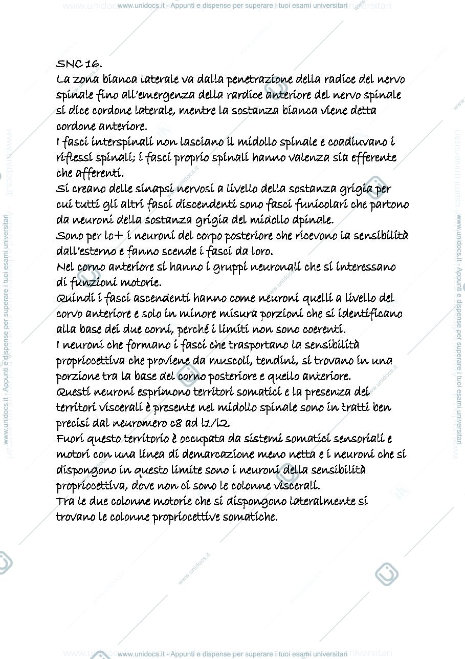 Anteprima pagina 1 — snc 16