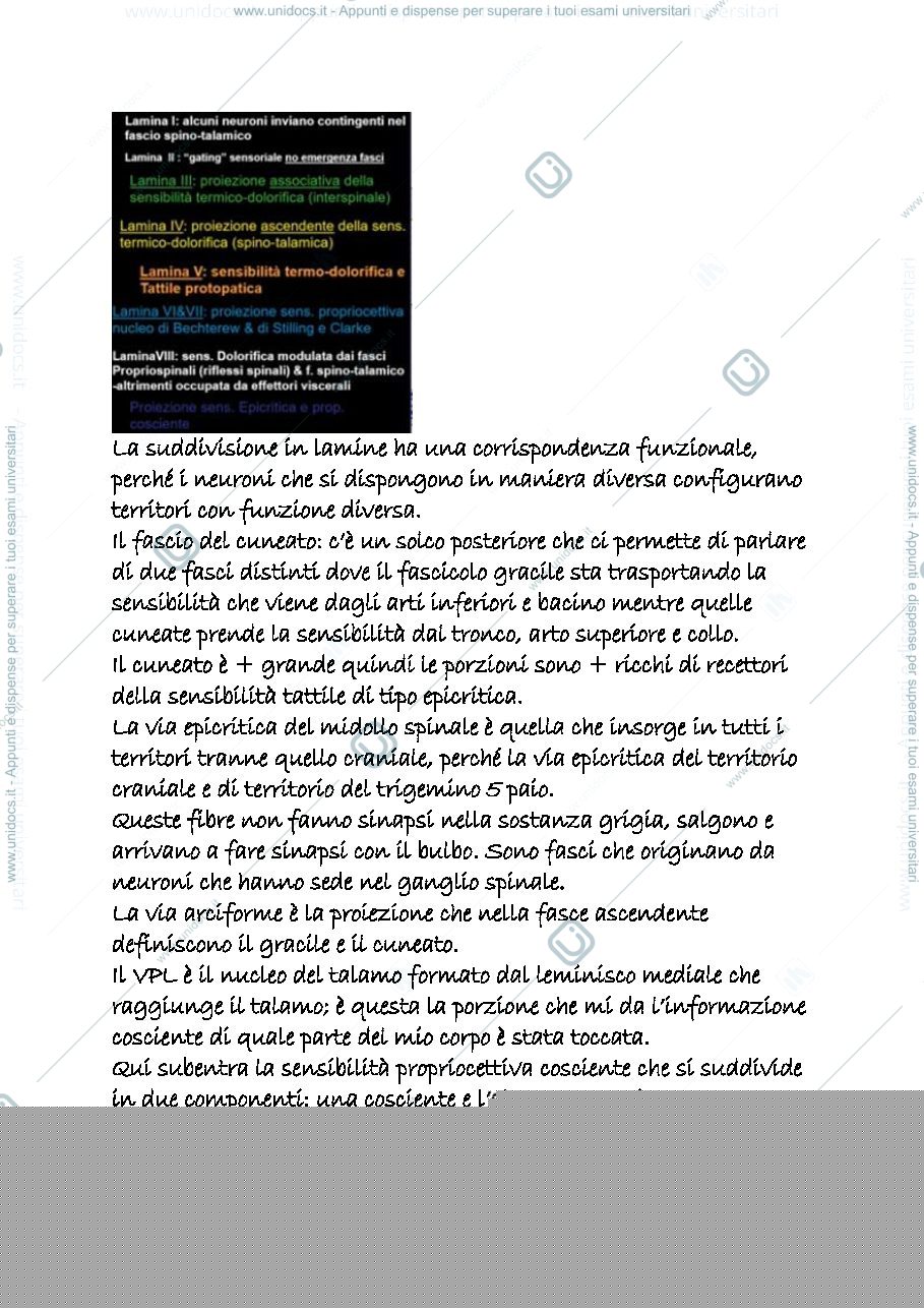 Anteprima pagina 2 — snc 16