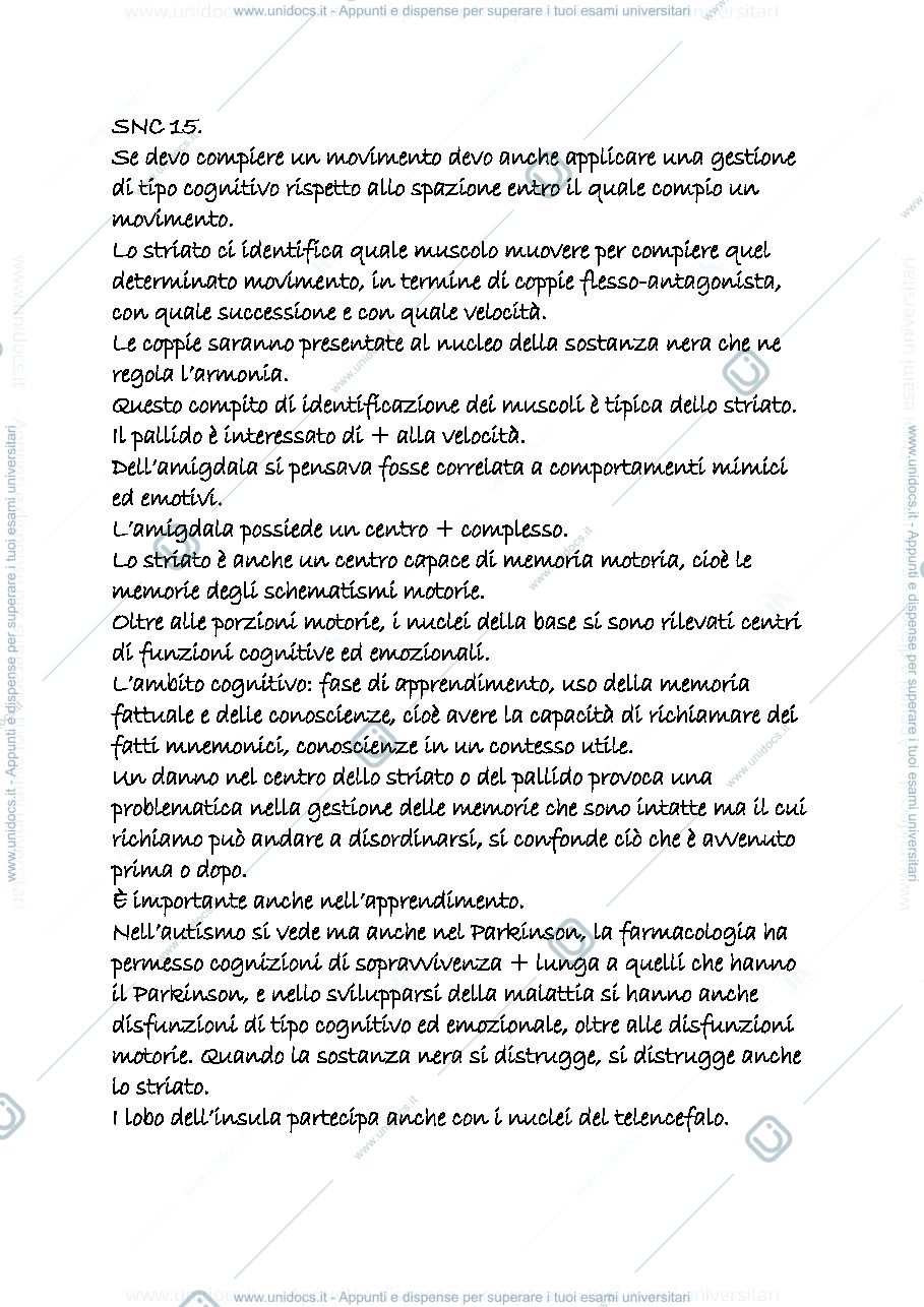 Anteprima pagina 1 — snc 15