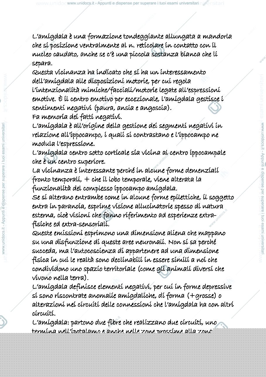 Anteprima pagina 2 — snc 15