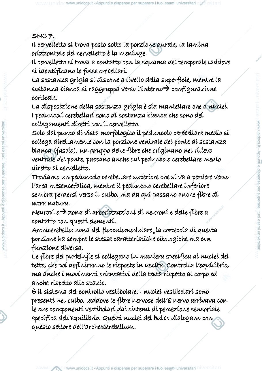 Anteprima pagina 1 — snc 7